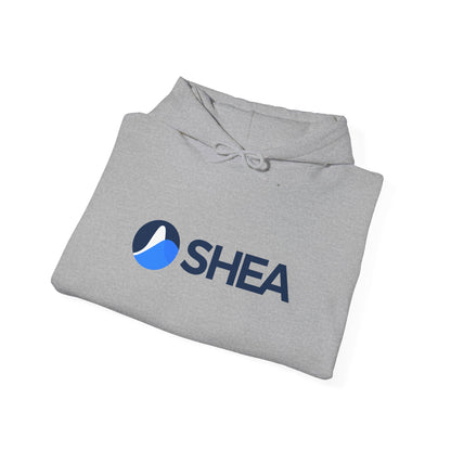 Unisex Hoodie - Safe Healthcare for All